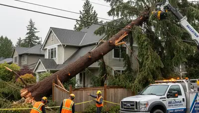 Emergency tree removal crew clearing storm-damaged trees in Redmond, WA after severe weather
